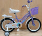 Size 20 girls bike with balance wheels